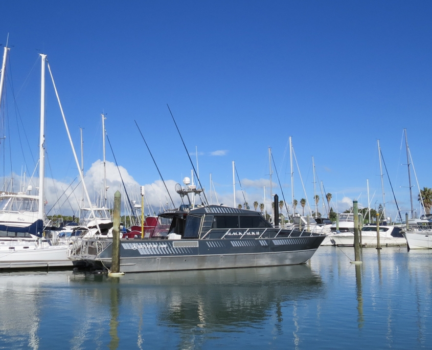 Image showing boats docked at Pine Harbour Marina.